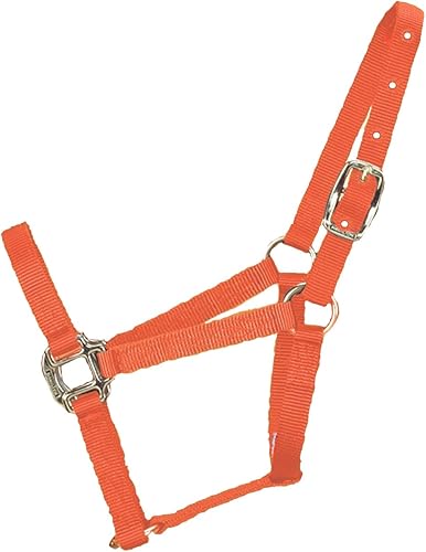 Miniatura 6 de Hamilton Caballo de nailon de calidad de 34 pulgadas, destete o poni grande, 200-300 libras, azul