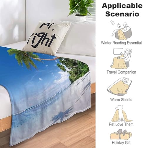 Miniatura 3 de Manta para el hogar, playa tropical con palmeras en el océano, mullida y cómoda, manta suave y acogedora del océano, 60 x 80 pulgadas, adecuada para