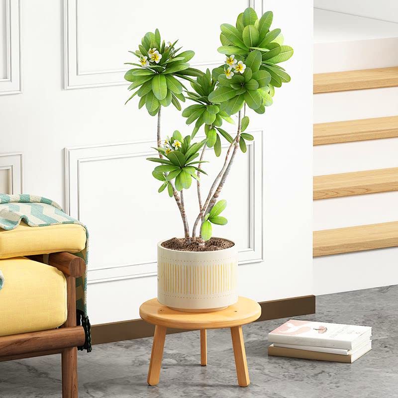 Vencede Bamboo Plant Stand, Round Flower Pot Display Stand, Bamboo Stool Display Stand - Image 2