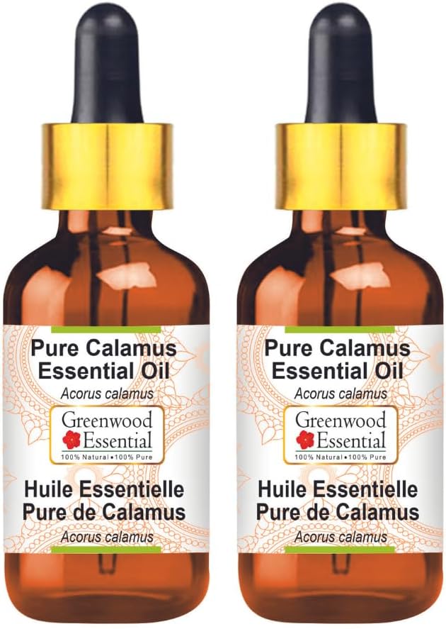 Greenwood Essential Pure Calamus Essential Oil (Acorus Calamus) with Glass Dropper Steam Distilled (Pack of Two) 100ml X 2 (6.76 oz)