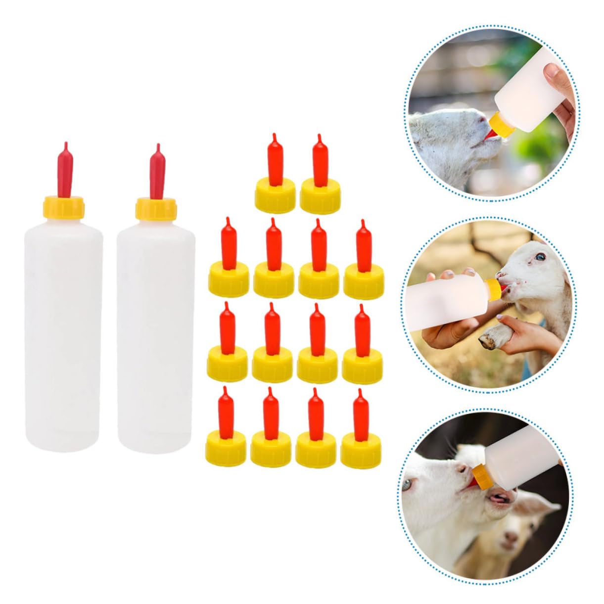 GALPADA 4 Set biberon assistenza infermieristica Neonato bottiglie neonati latte forniture per l'alimentazione degli agnelli biberon per l'alimentazione degli animali plastica