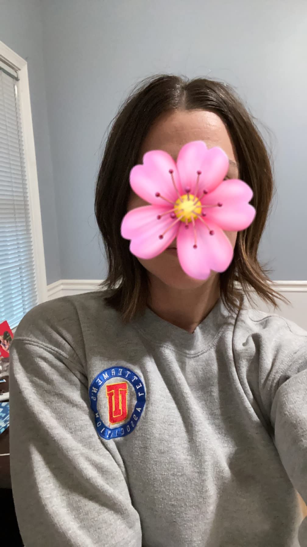 2/mo Finance HOOJIH Wire Hair Extensions with 2 Removable Clips 20