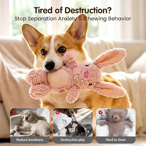 Dog Toys for Aggressive Chewers — packaging and what arrives in the box