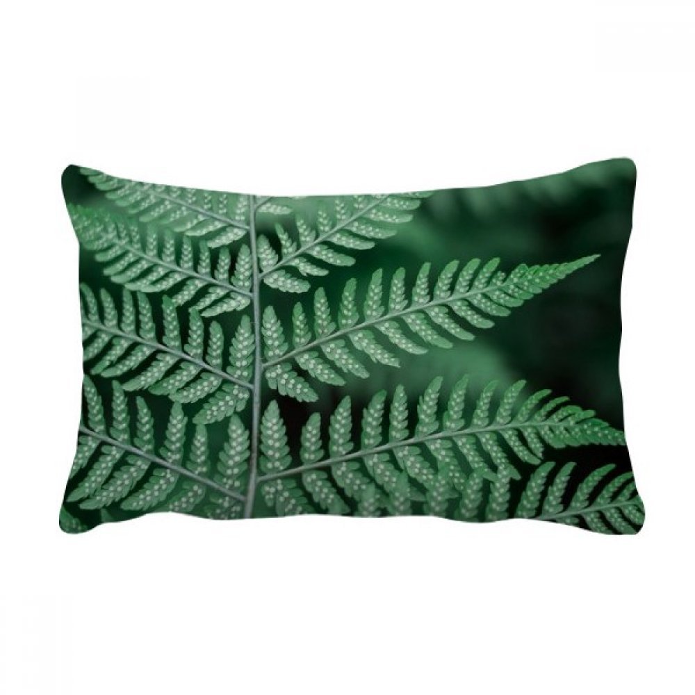 Coussin lombaire nature avec insert 40x60 cm multicolore pour decoration canape salon