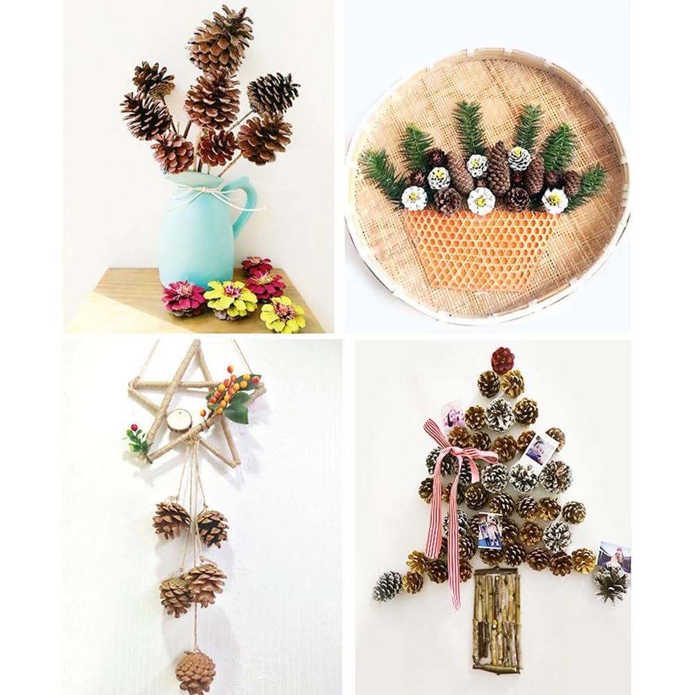 10 pigne natalizie, pigne di pino, decorazioni naturali per il fai da te, pigne naturali per albero di Natale, ghirlanda di Natale, artigianato A1-10 (9-12 cm)