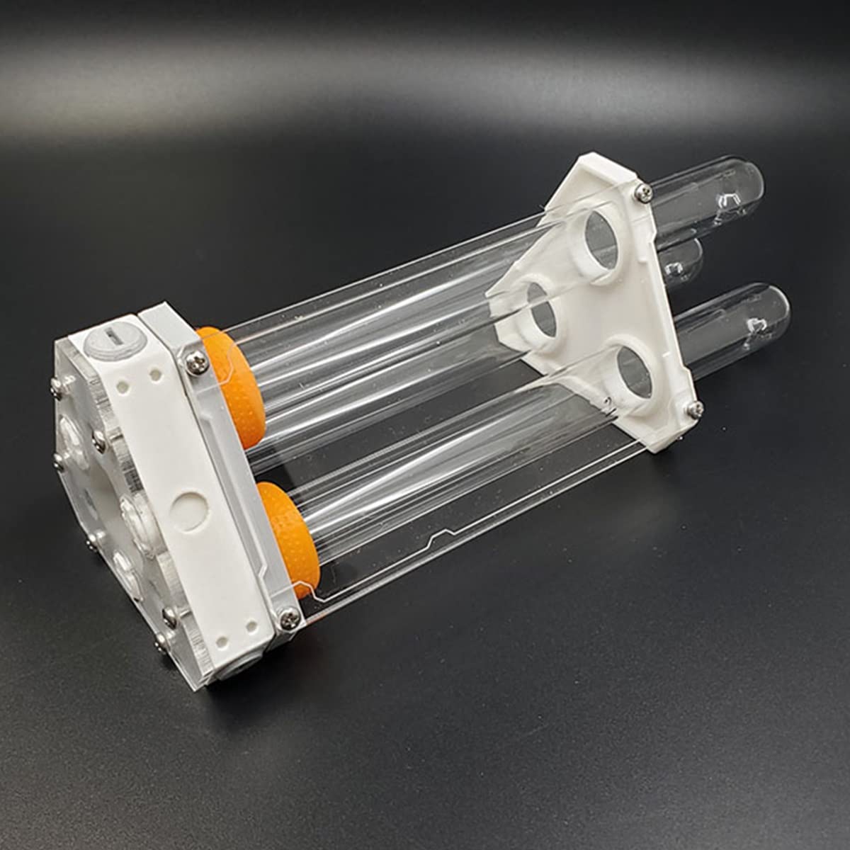 Farm-Ameisenburg Formicaio Acrilico Trasparente 15x15cm - Osservazione Formiche Vive | Gioco Educativo - Foto 4