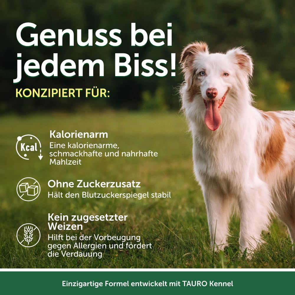Nature’s Protection Superior Care Hundenassfutter mit Thunfisch & Lachs - Hundefutter ohne Getreide & hypoallergen - Für weiße erwachsene Hunde - Haut & Fellpflege - Reduziert Tränenflecken (24 x 70g)