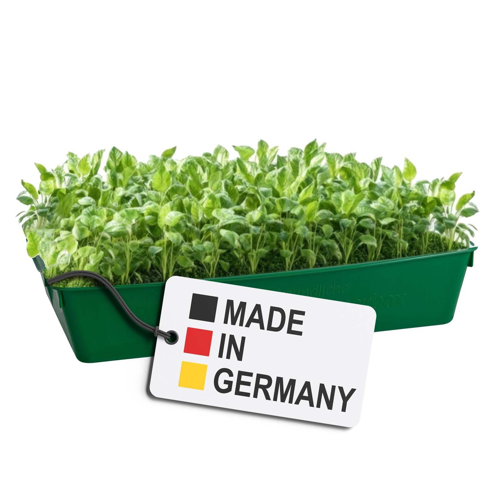 Gärtnerbox 58x32x11 cm 4er Set Pflanzschale Anzuchtwanne Grün Aussaatschale | BURI Pikierschale robust, wetterfest und frostfest für Saatschalen, Pflanzwanne, Gewächshaus und Pflanzenanzucht