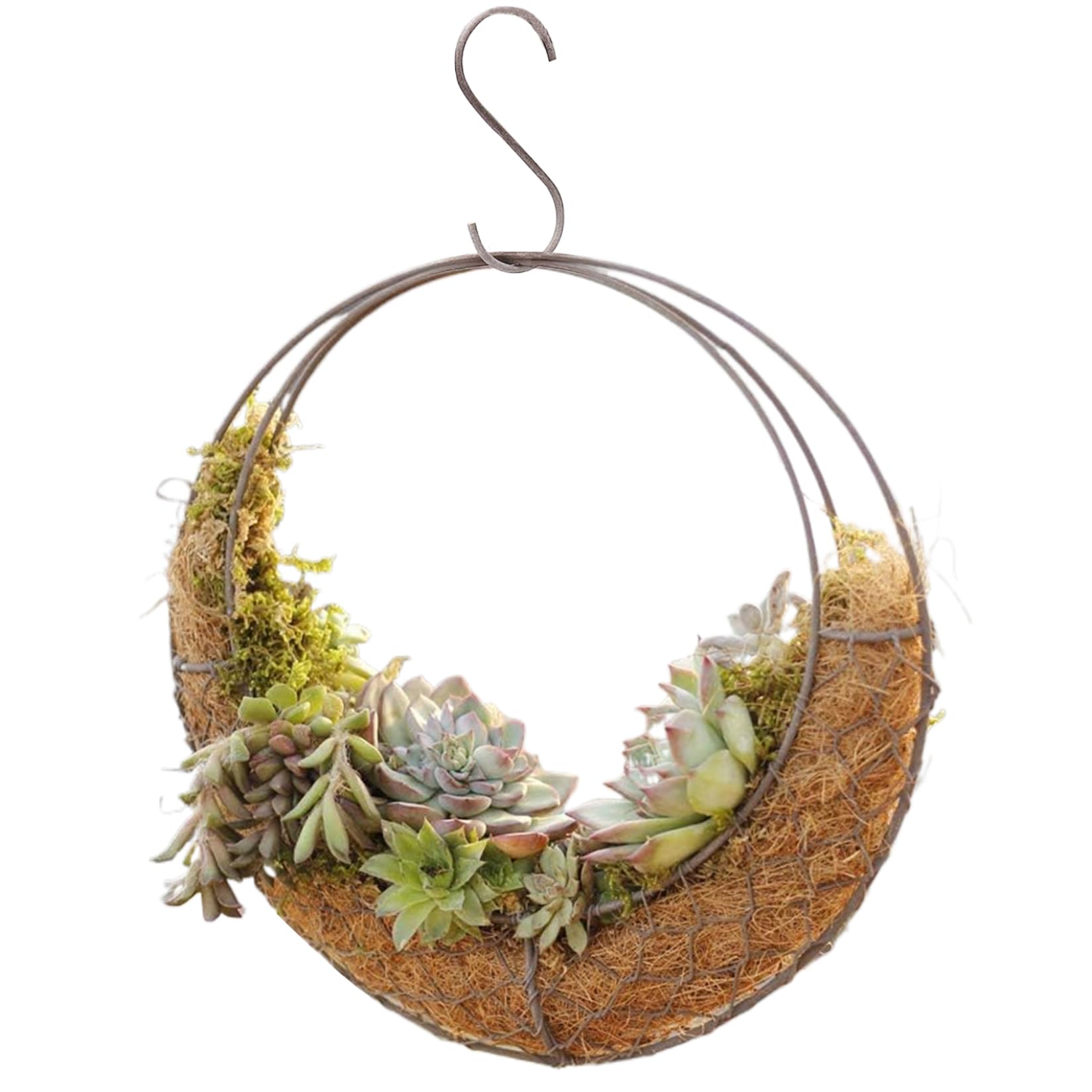 Jardinière suspendue lune panier en fil ventilé avec crochet 11 pouces