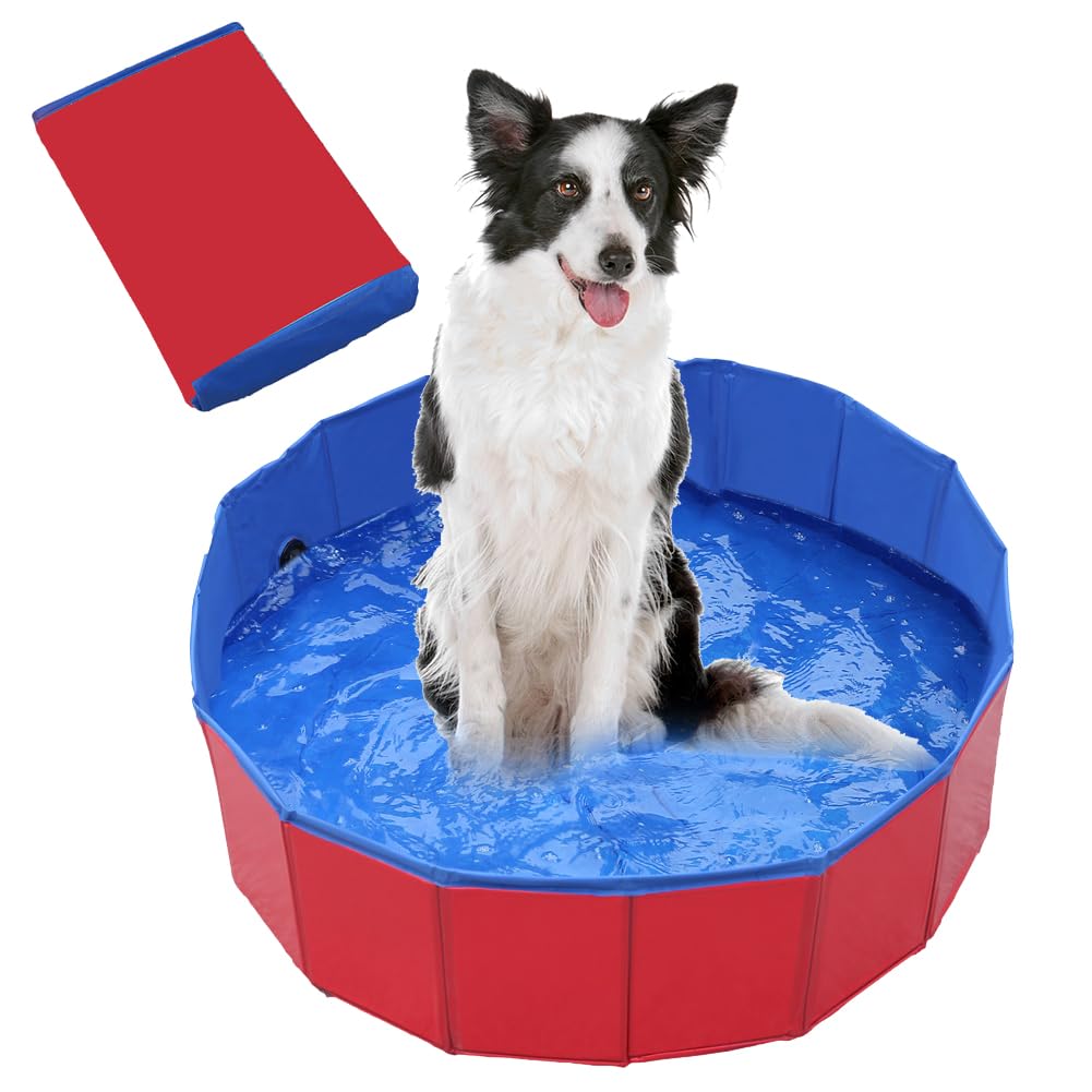 Dog Paddling Pool, Foldable Pool for Small Dogs, Durable Dog Swimming Pool, Rigid Plastic Paddling Pool for Pet Bathing,Plastic Pool for Outdo,Compact 50 X 10 Cm Design