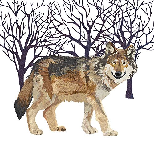 Paperproducts Design Decorative Beverage Paper Napkins – Tabletop Disposable Kitchen Cocktail Napkin – For Lunch, Dinner, Birthdays, Parties – Set of 12, Patti Gay/Two Can Art Winter Wolf Design