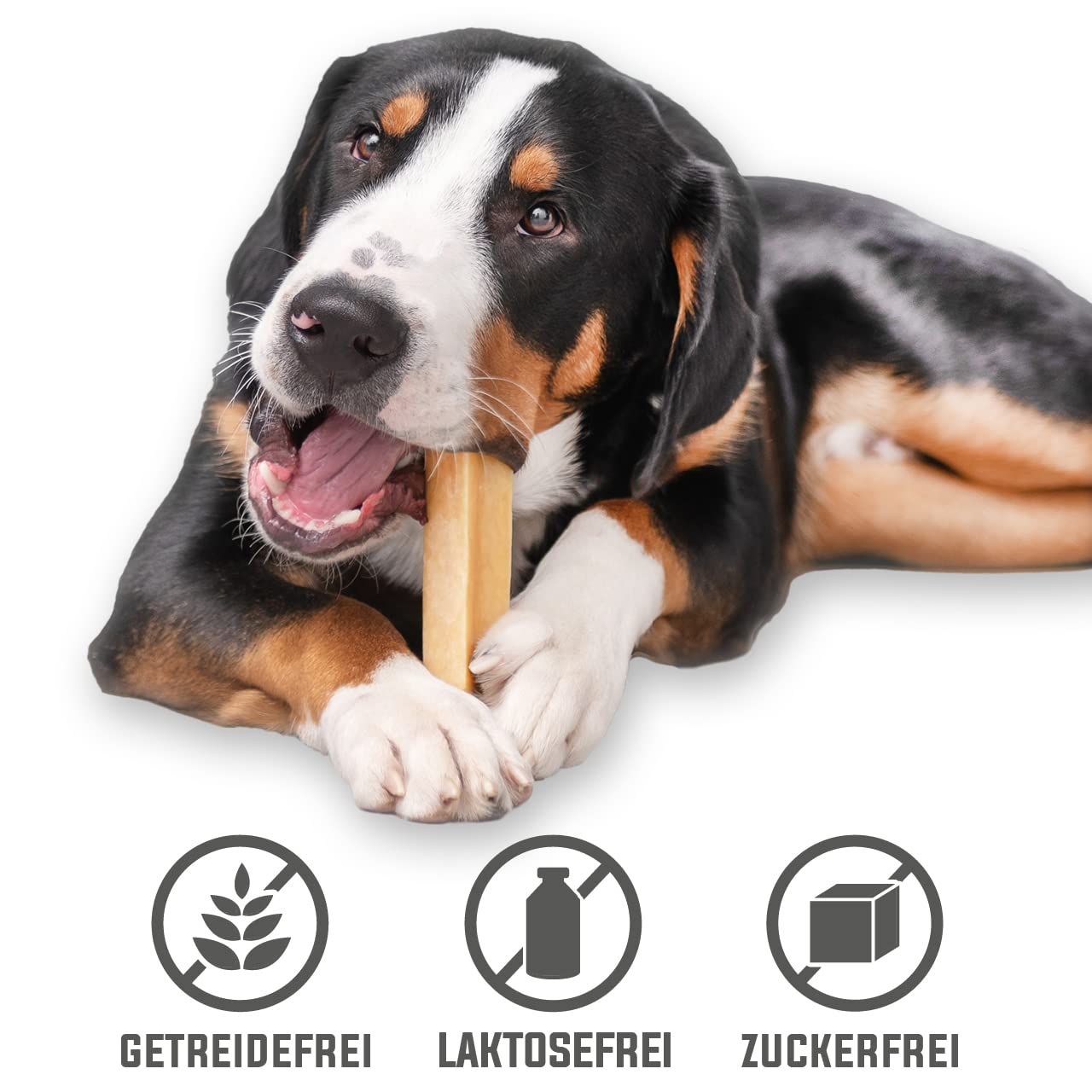 Larsson | Yaky Kaukäse für Hunde (Größe XL (3er Pack))