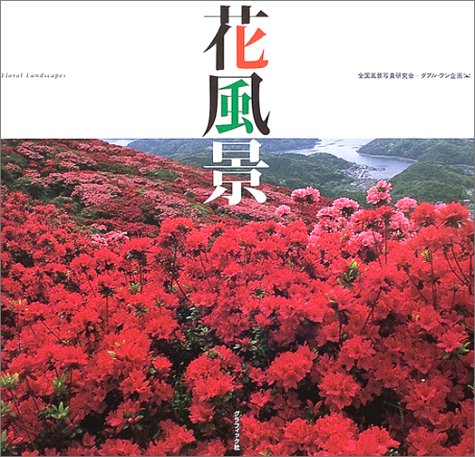 花風景