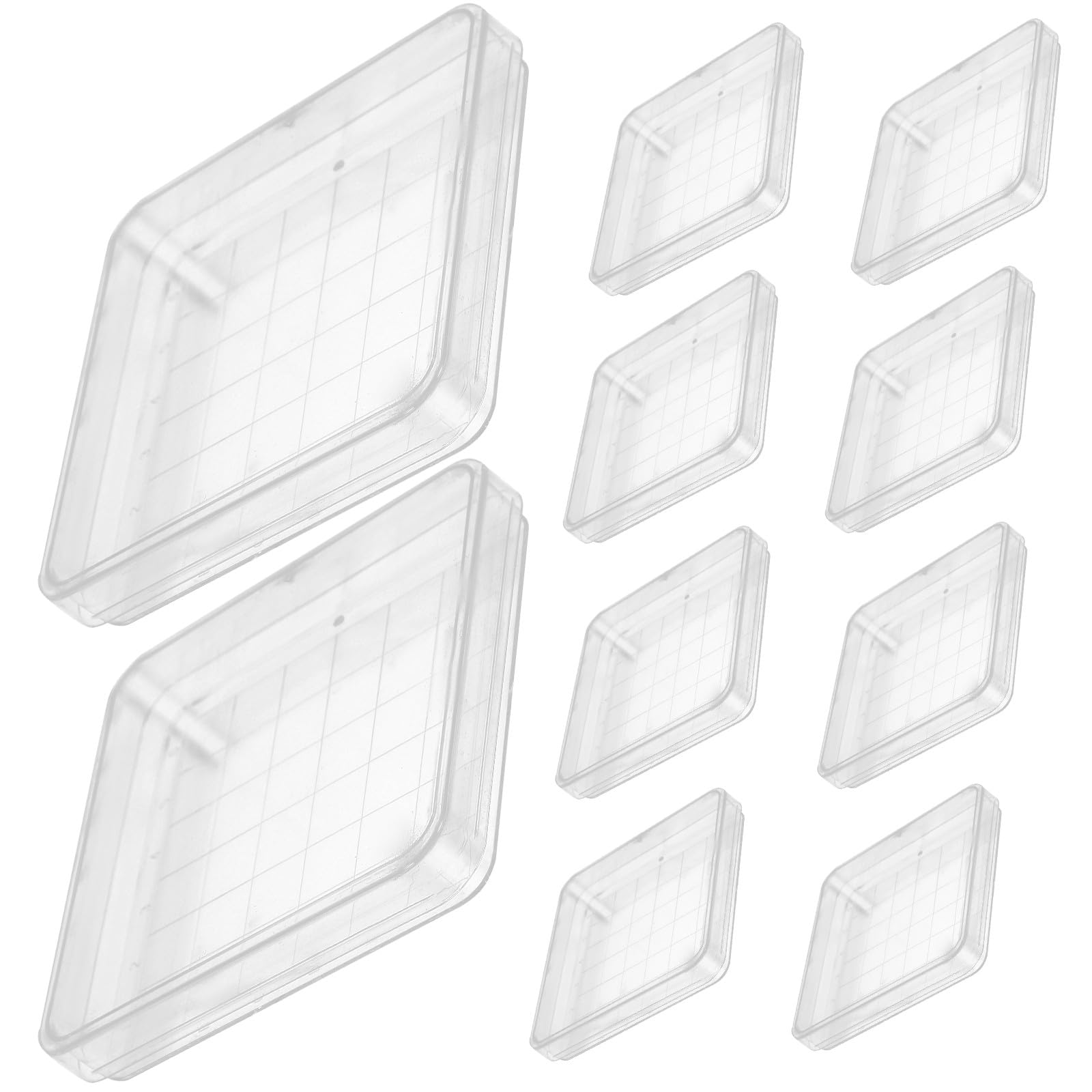 Lot de 10 Boîtes Pétri Carrées Transparentes 10x10 Cm Couvercle pour Projets Scolaires et Études en Microbiologie