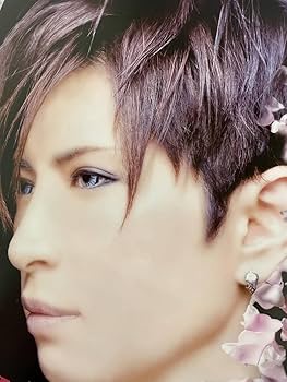 Amazon.co.jp: Gackt ガクト 2010年製 B2ポスターのみ : 文房具