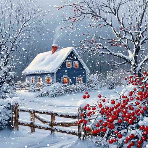 NEWENMO 5D Schöne Landschaft Diamond Painting Full Drill DIY Schneelandschaft Diamant Painting Bilder Winterlandschaft Diamant Malerei Erwachsene Set für Anfänger Zuhause Dekoration 30x30cm