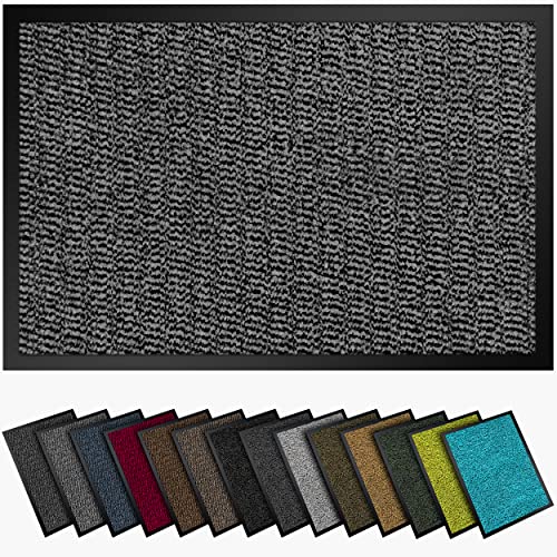 Paillasson de qualité supérieure,Gris clair,Noir,40x60 cm,Pour l'intérieur et l'extérieur,Antidérapant,Paillasson pour l'entrée et l'extérieur,Tapis de couloir fin Cover