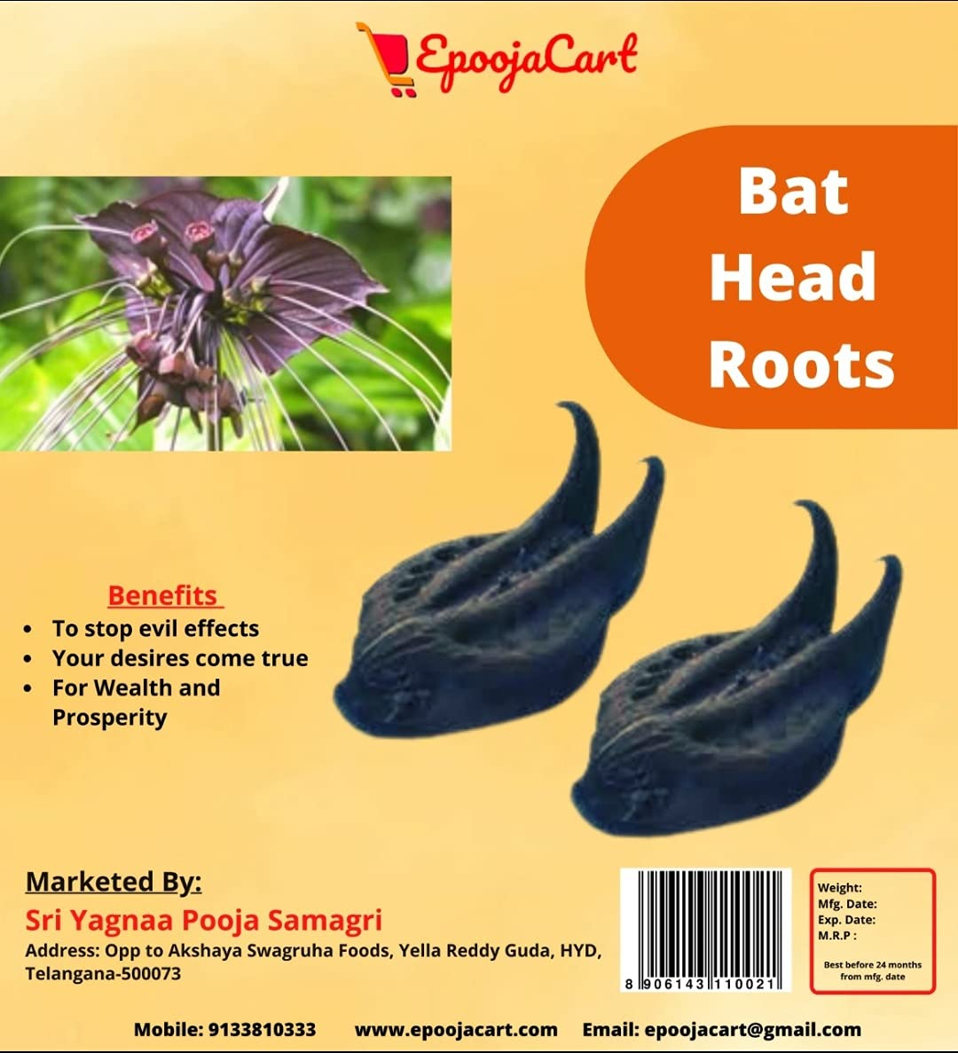 See full amazon price history chart for EpoojaCart - Natural Bat Head Roots- Telugundi Kaya - Singadas - Wood Devil/Evil Pods Black (21 Pcs) EpoojaCart - Natural Bat Head Roots- Telugundi Kaya - Singadas - Wood Devil/Evil Pods Black (21 Pcs) (B097N6P2NQ) Amazon Price History, Amazon Price Tracker