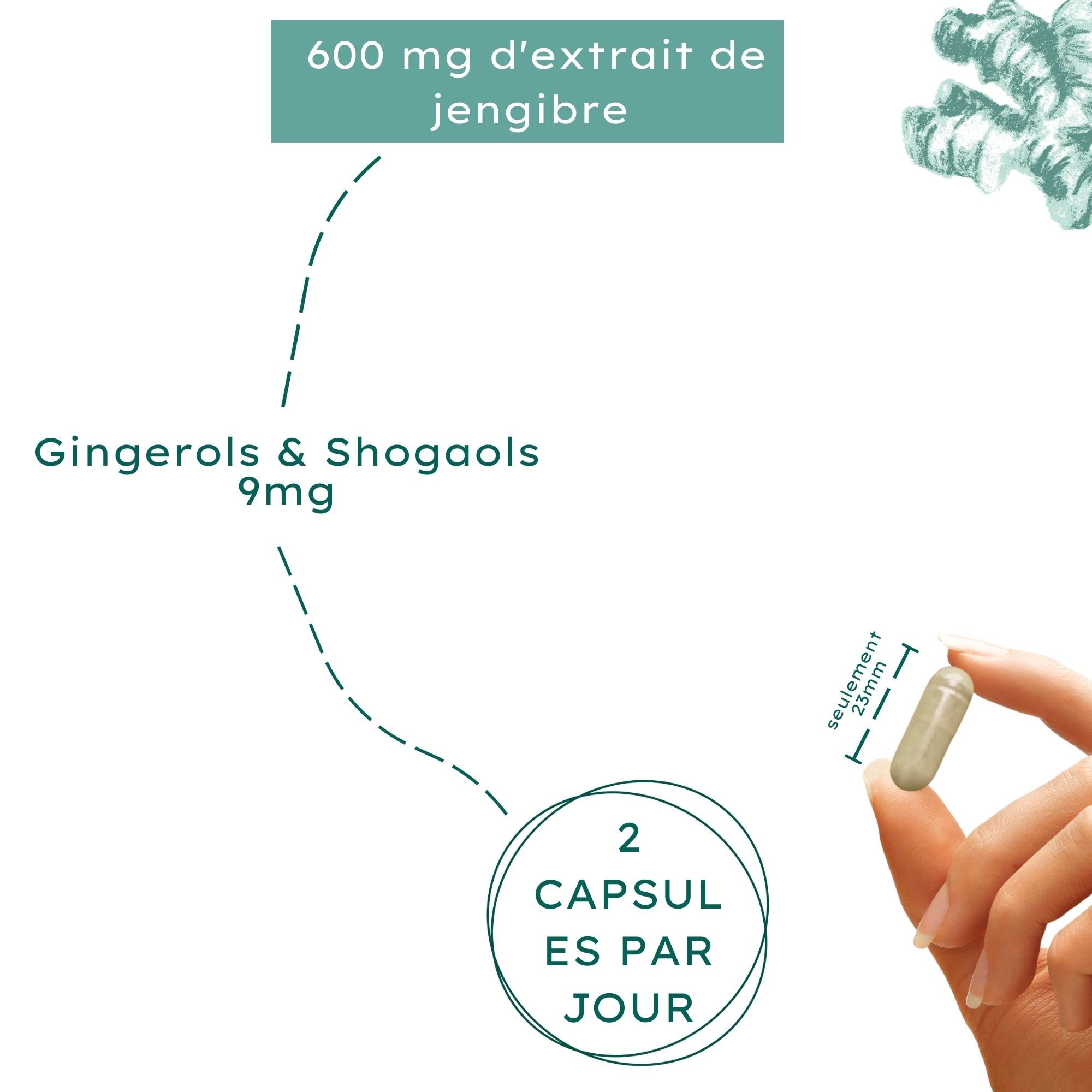 Nature Basics® Gingembre en gélules BIO & EXTRAIT | certifié & durable en pot | 180 gélules végétaliennes & pures | testé en laboratoire, en provenance d'Allemagne, sans additifs & neutre en CO2