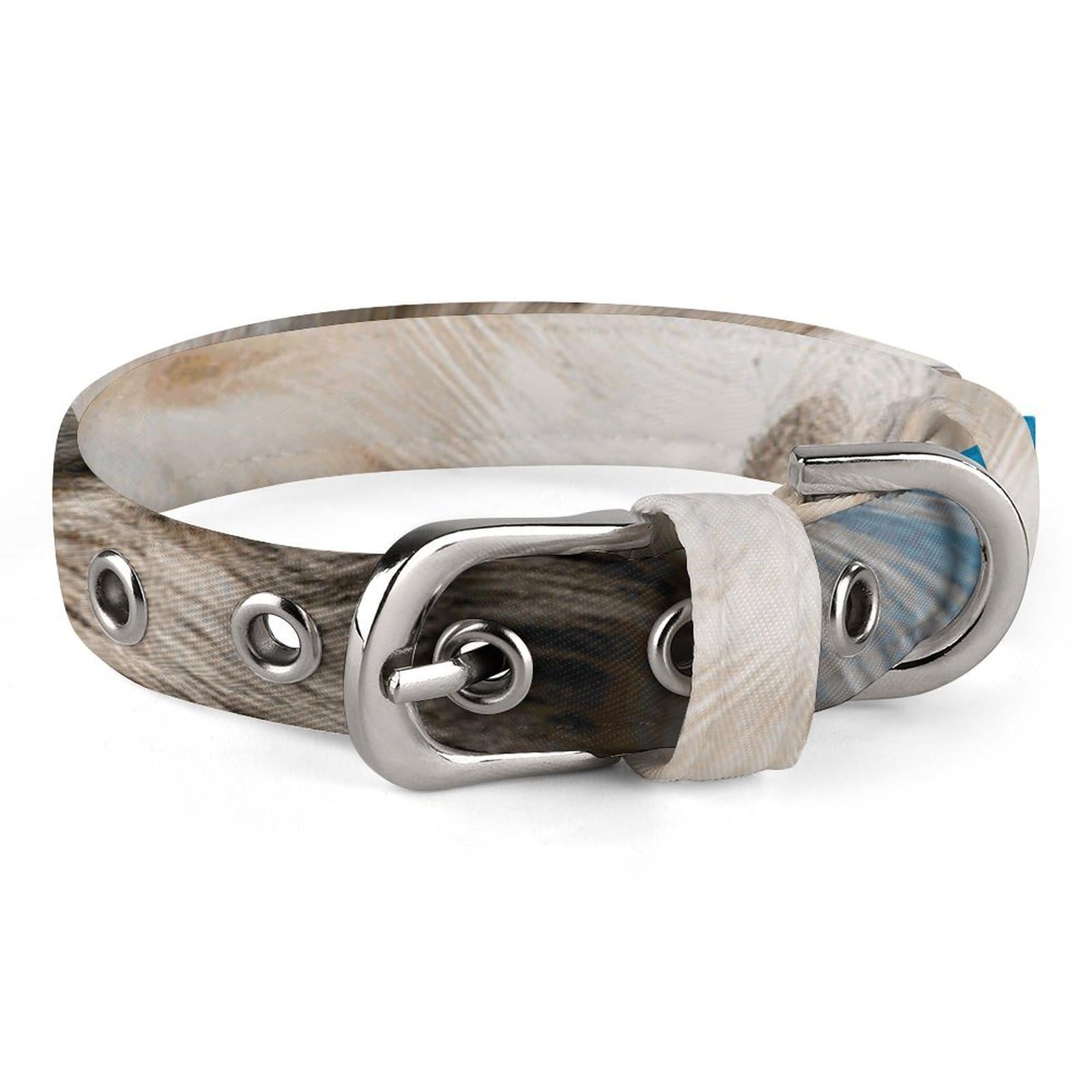 Collar de gato dormido y perro pequeño con hebilla ajustable y anillo D