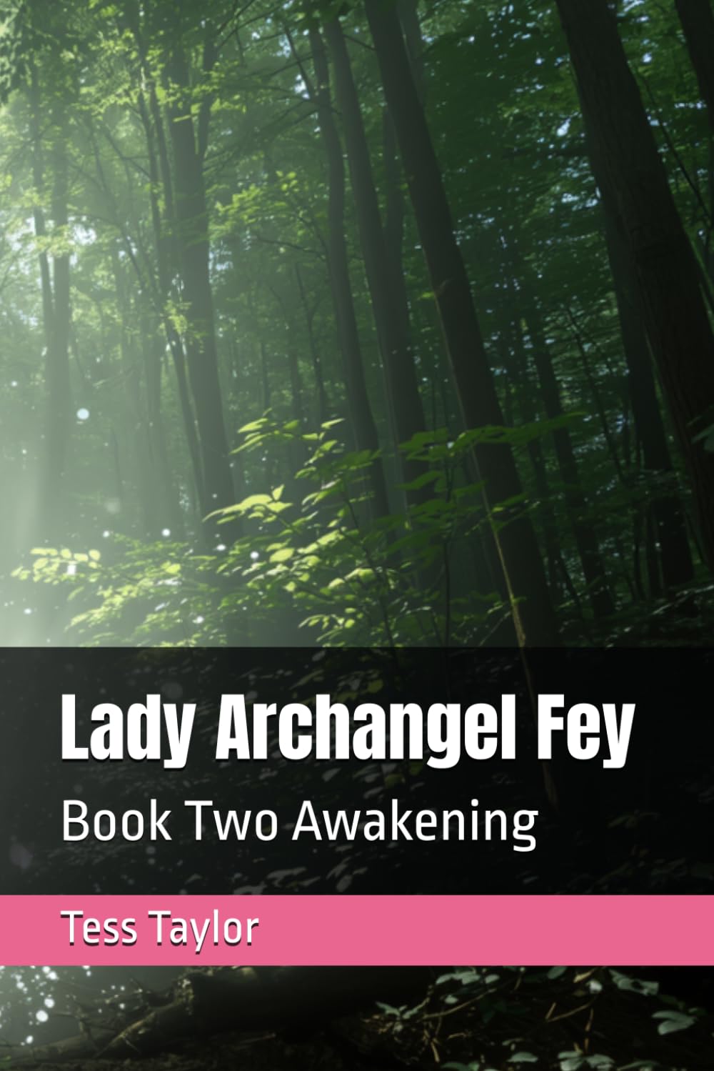 Lady Archangel Fey: Book Two Awakening