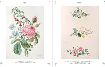 Amazon.co.jp: 野の花の本 ボタニカルアートと花のおとぎ話 : 解説