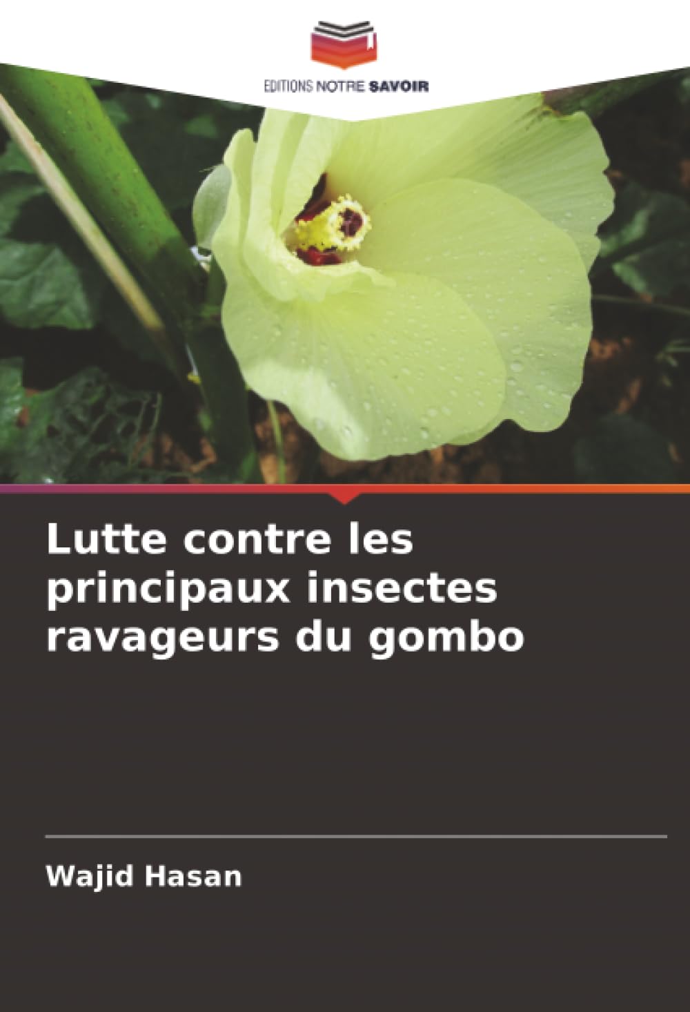 Lutte contre les principaux insectes ravageurs du gombo