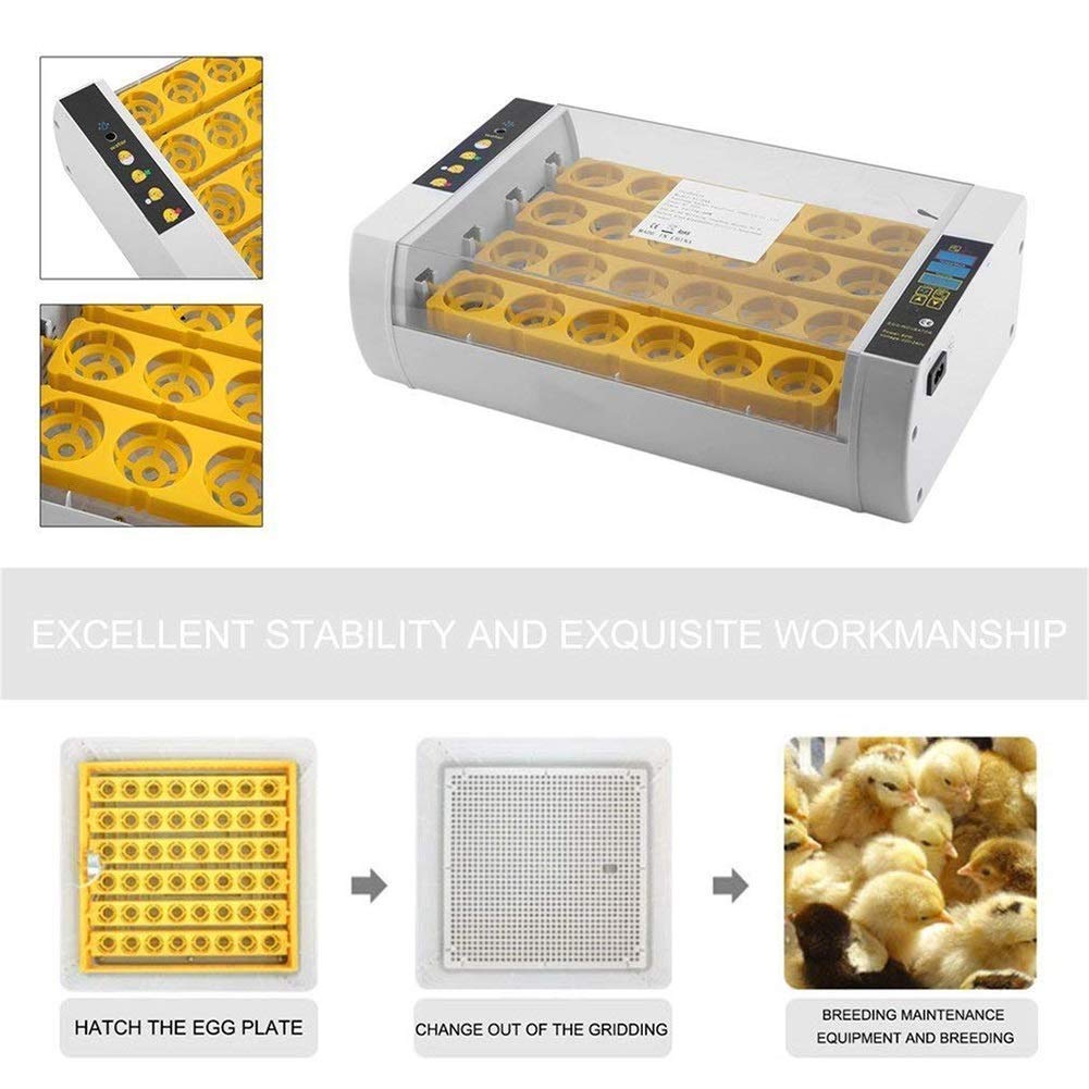 Incubadora De Huevos, Miniincubadora Digital Automática De 24 Huevos, Herramienta para Incubar Aves De Corral, Patos, Aves De Corral, Huevos De Gallina, Control De Temper