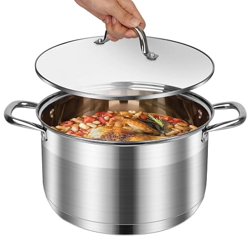 10 Quart Stock Pot, Stainless Steel Pot with Lid for