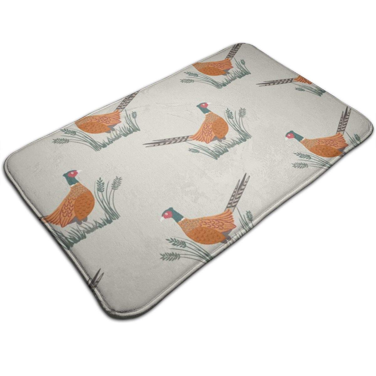 YUYUTE Doormat Non-Slip Door Mat Friendly Pheasant On Natural Decorative Home Door Mat Water Absorbent Rug Mat Soft Bath Mats 19.5 * 31.5 inch