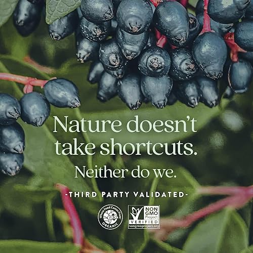 Miniatura 7 de New Chapter Gomitas multivitamínicas para mujeres de más de 50 años: 66% menos de azúcar, vitaminas gomosas de envejecimiento saludable para mujeres