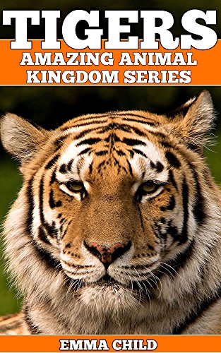 TIGERS: Fun Facts and Amazing Photos of Animals in Nature (Amazing Animal Kingdom Book 11)