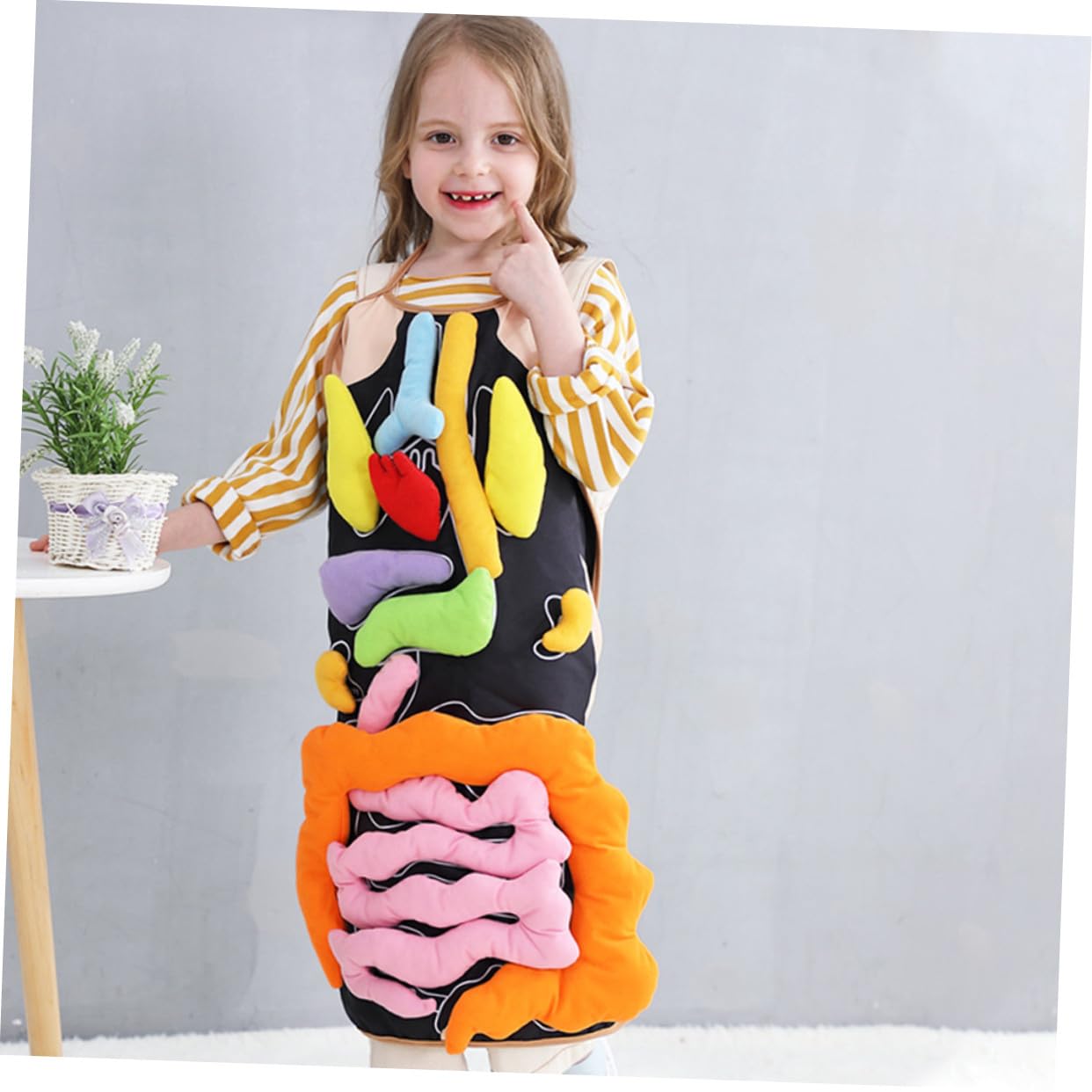 Delantal de Órganos del Cuerpo Humano en 3D, 1 Juego, Poliéster