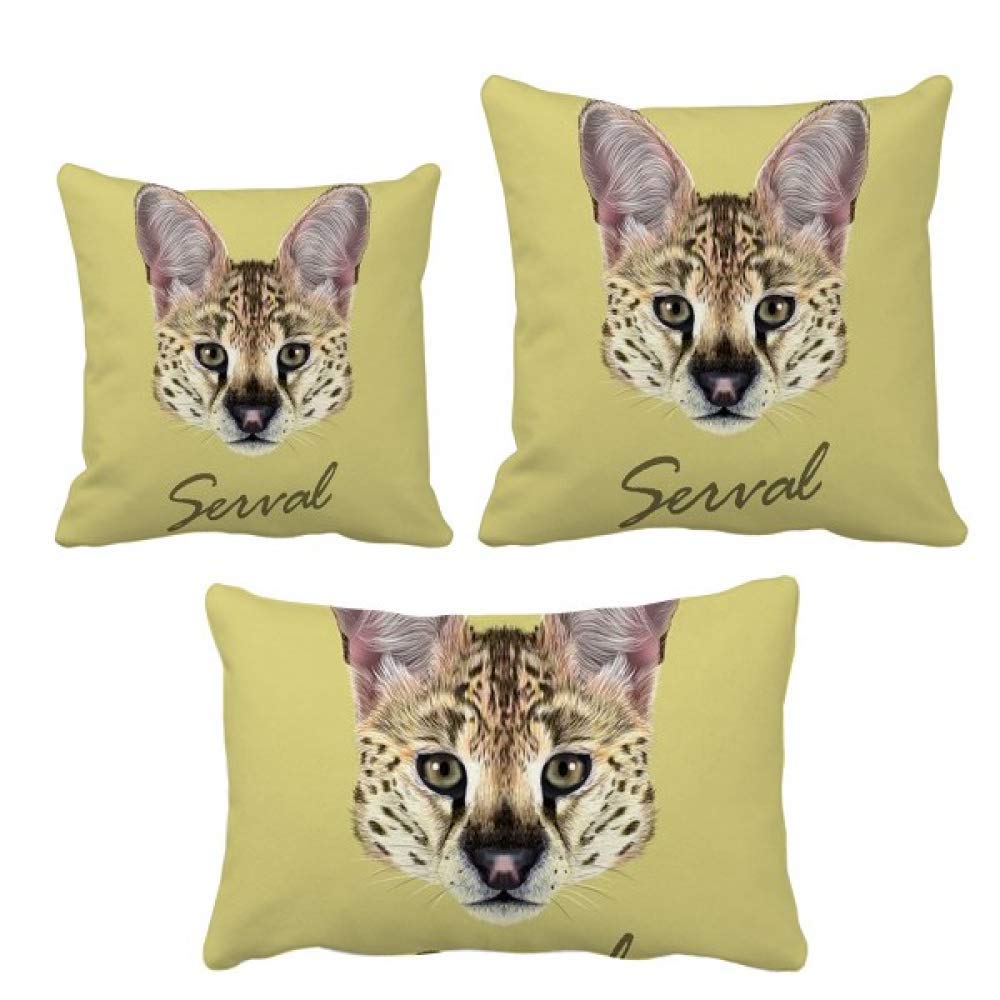Housse de coussin à pois protectrice et lavable pour décoration maison