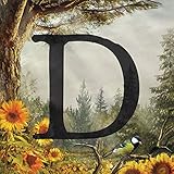 D [Explicit]