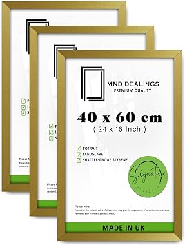 Classic Pack of 3 40x60cm Poster Frames Eton Wood Perfect For Wall Gallery, Living Room, Wall Hanging Mount Poster Picture With Clear HD Styrene 16x24 -Gold