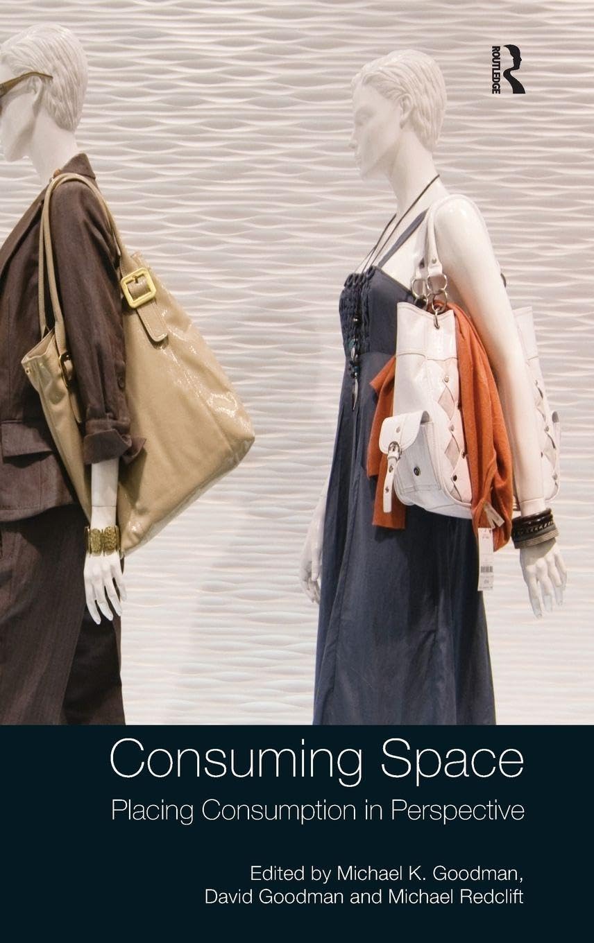 Consuming Space: Placing Consumption in Perspective view 3