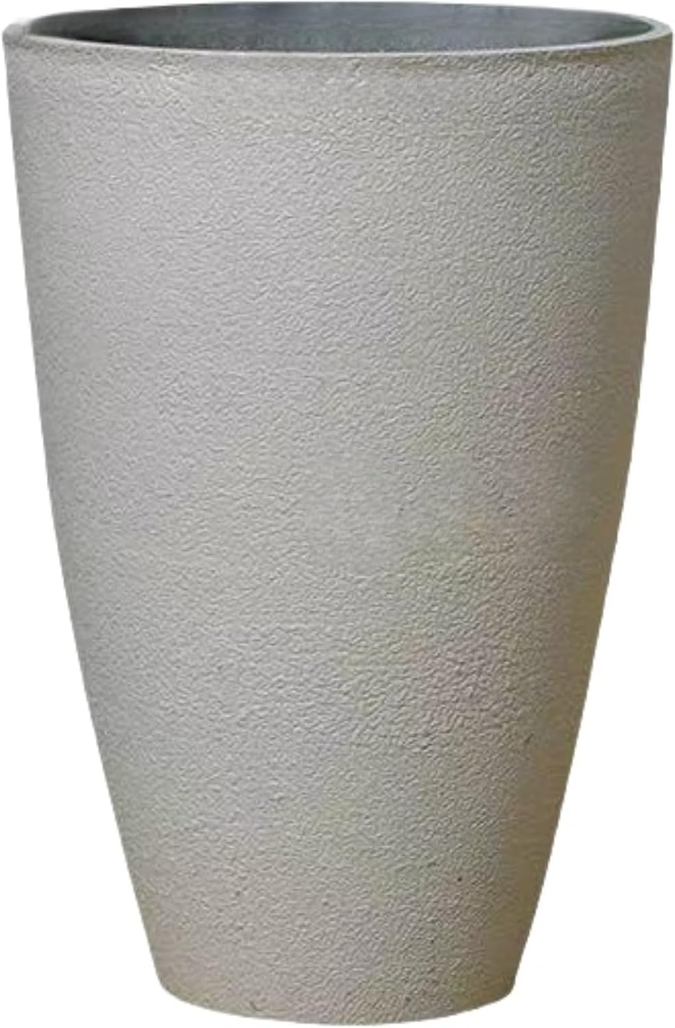 ブラヘアアルマータ 10号鉢つき 極上❗ ブラヘアアルマータ 10号