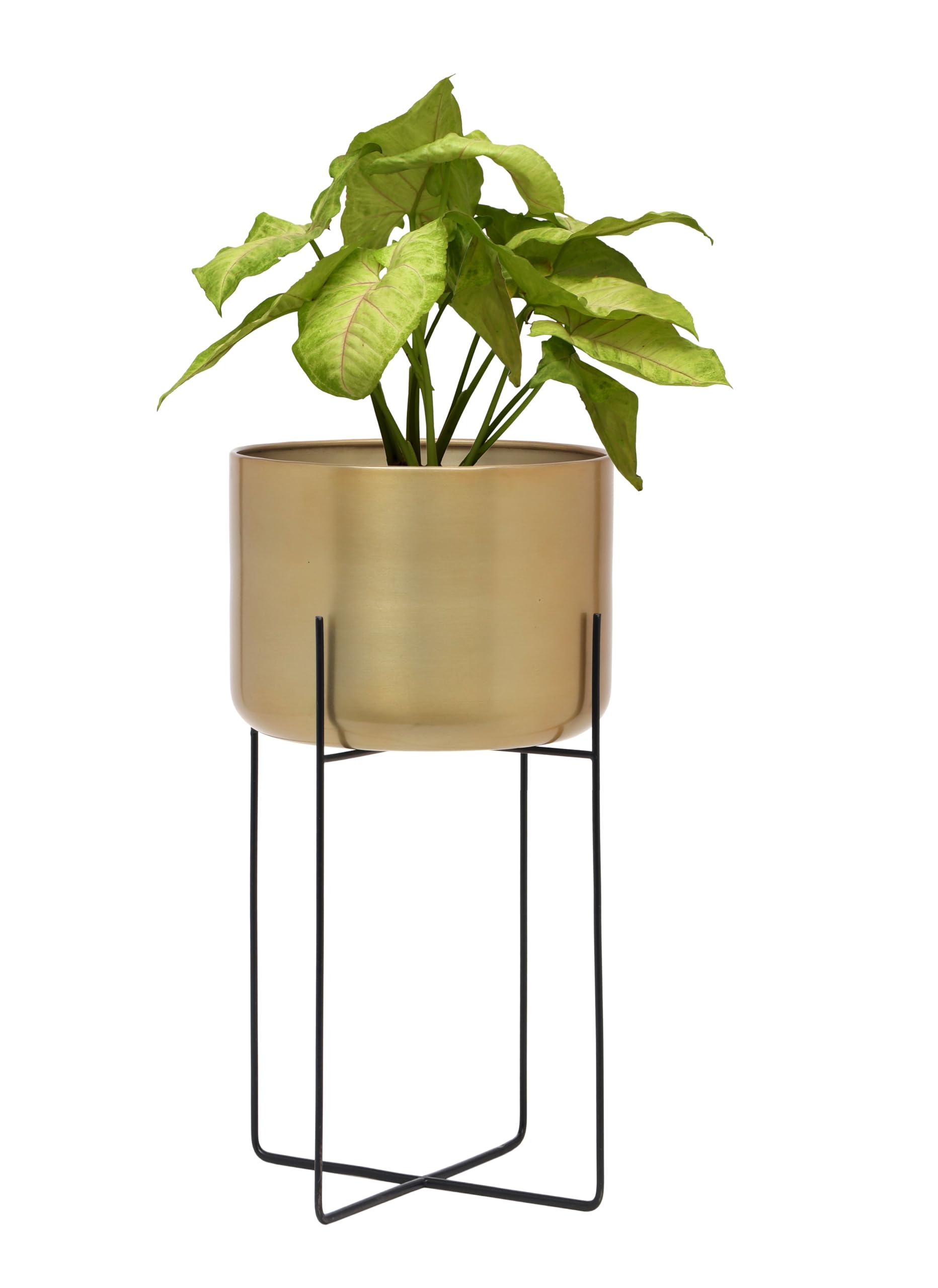 OPAXA LIVING- Aluminium Planter Pot with Stand, (Gold) (25 x 25 x 56 CM) (Pack of 1) (B09NSPRP8J) Amazon Price History, Amazon Price Tracker