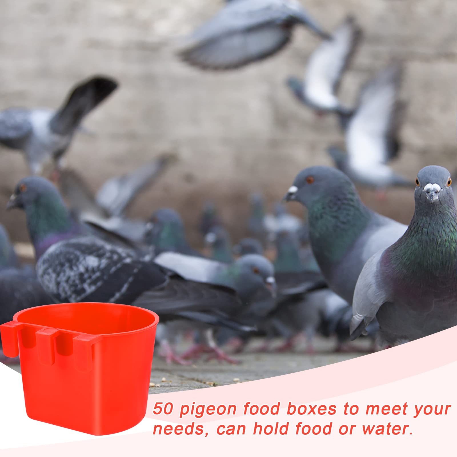 30x Vogel-Futterspender Aus Kunststoff – Praktische Käfigschalen Zum Aufhängen Für Vögel, Hühner, Hasen & Kleintiere