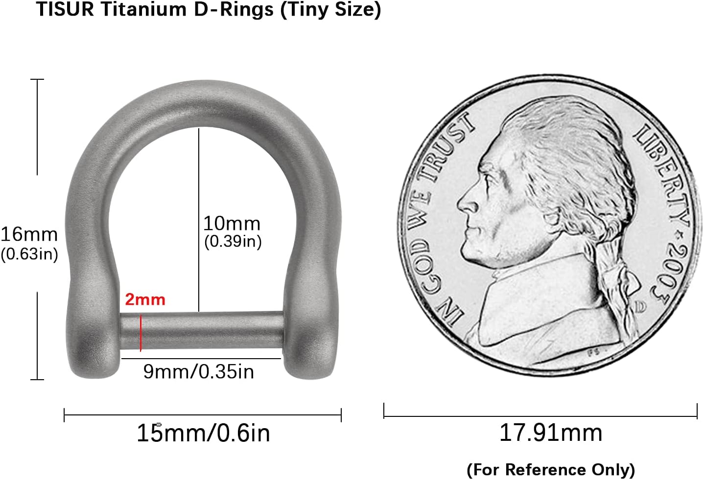 TISUR D-Rings with Screw Shackle, U Shape Key Chains Rings, Car Keys Tools, DIY Leather Craft Purse/Wallet Buckle 2pcs, 0.35'', Matte/Titanium, tiny