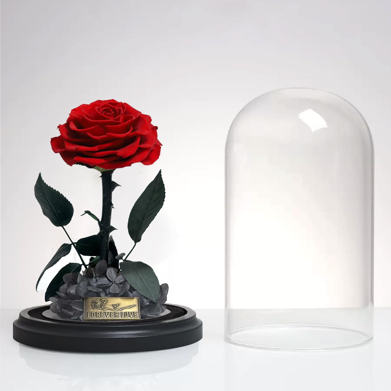 Rosa Eterna In Vetro Con Luce - Regalo Romantico Per Donne, San Valentino, Compleanni | Fiore Conservato