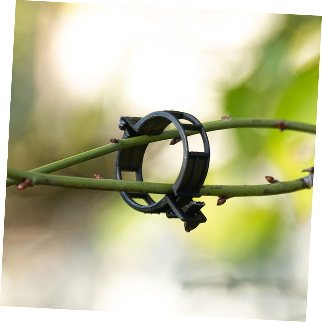 POPETPOP 500pièces Clips De Fixation pour Plantes Supports De Vignes Flexible pour Tomates Légumes Grimpants Et Fleurs Accessoires De Jardinage Pratiques Et Réutilisables