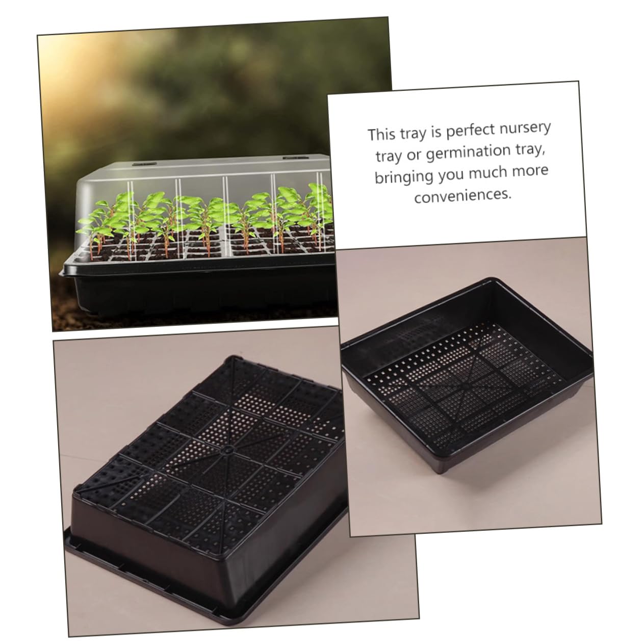 BESPORTBLE Humidité pour Plantes avec Plateau De Semis Plastique Plateau De Démarrage De pour Germination De Plantes De Croissance De Semis