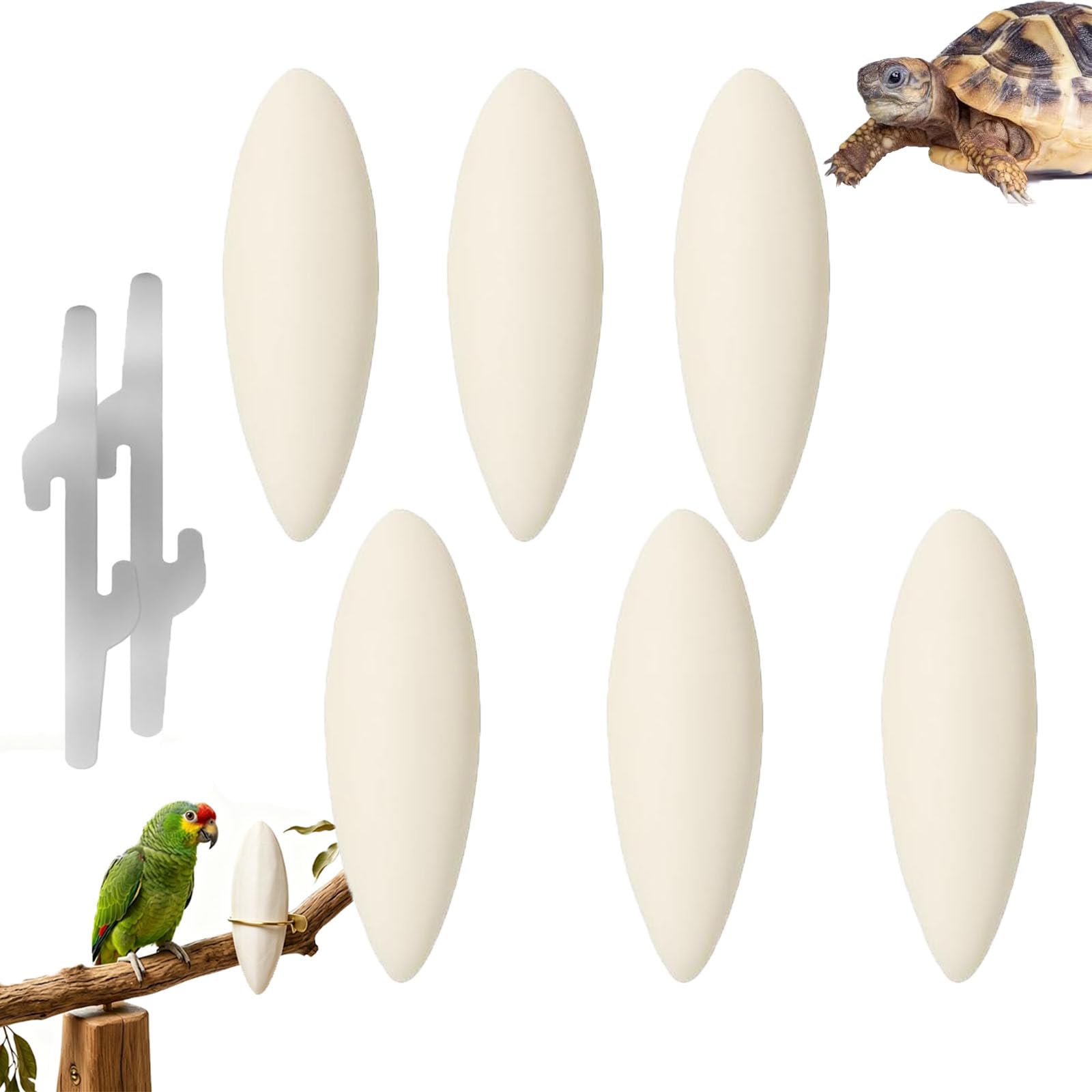 YouthLoxus 6PCS Cuttlefish for Birds,9-12cm Natural Cuttlefish Bone，with 2 Holders, Calcium Supplement Chew Cuttle Fish Toy, for Birds, Reptiles, Snails, and Turtles