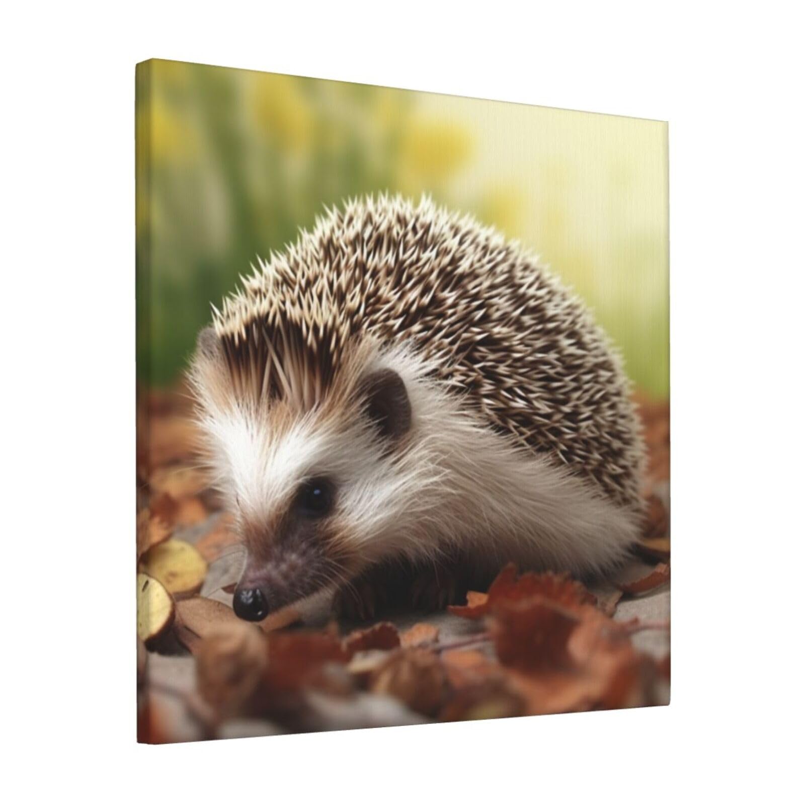 KLOPH hedgehog Canvas Wall Art for Living Room 12"x12" Modern Artwork Painting for Bathroom Hanging Canvas Prints Aesthetic Wallart for Bedroom Kitchen Office Wall Decor
