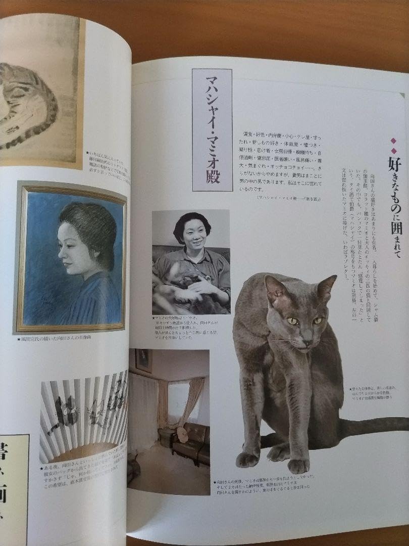 Amazon.co.jp: 絶版図録 向田邦子の世界 没後十年いまふたたび