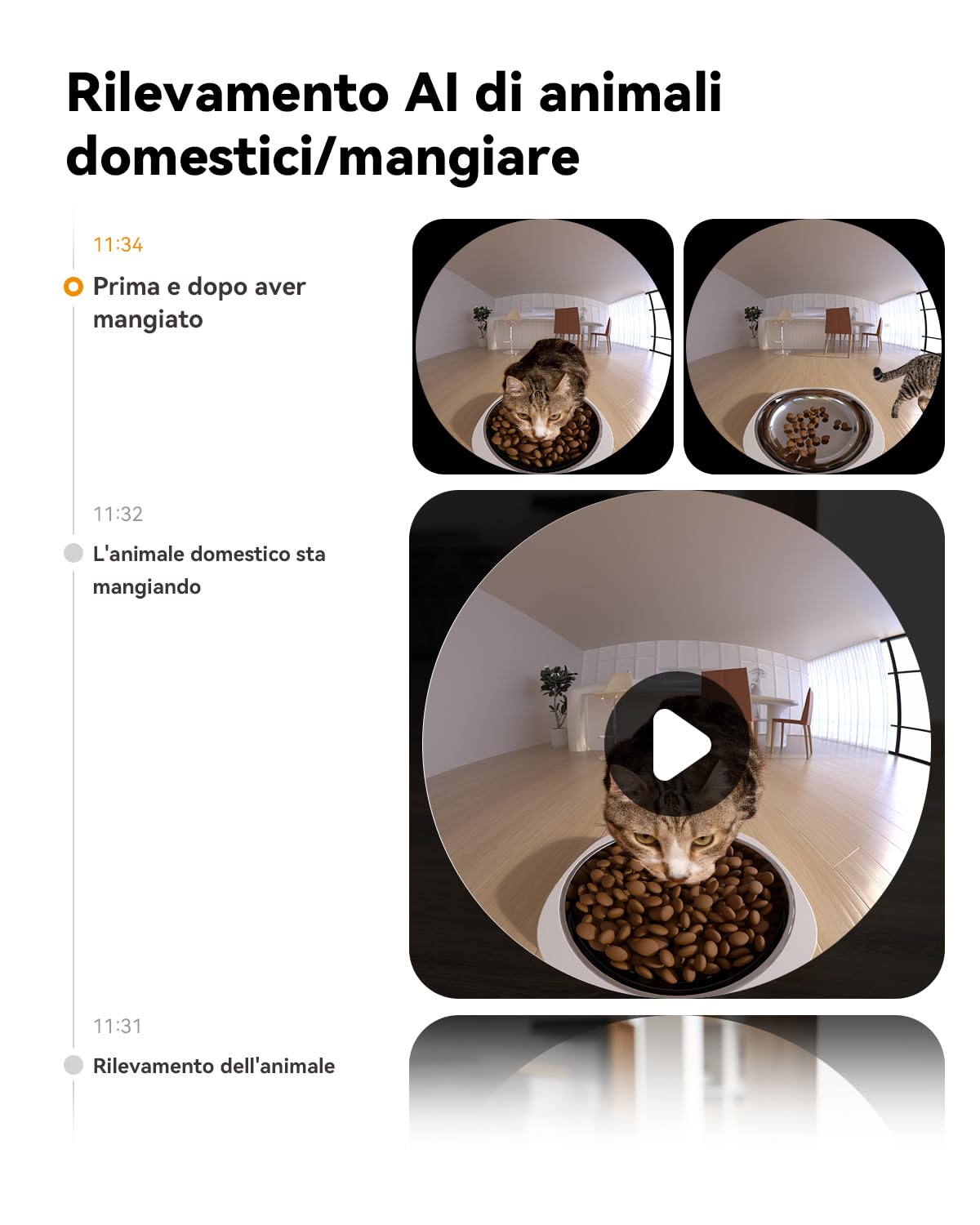 Imou 4L Distributore Automatico Cibo Gatti con 360° Telecamera, 4MP Distributore Automatico con Sensore per Cibo Basso, Tracciamento del Gatti/Cani, 2.4G WiFi, 1-15 Pasti/Giorno, Controllo APP