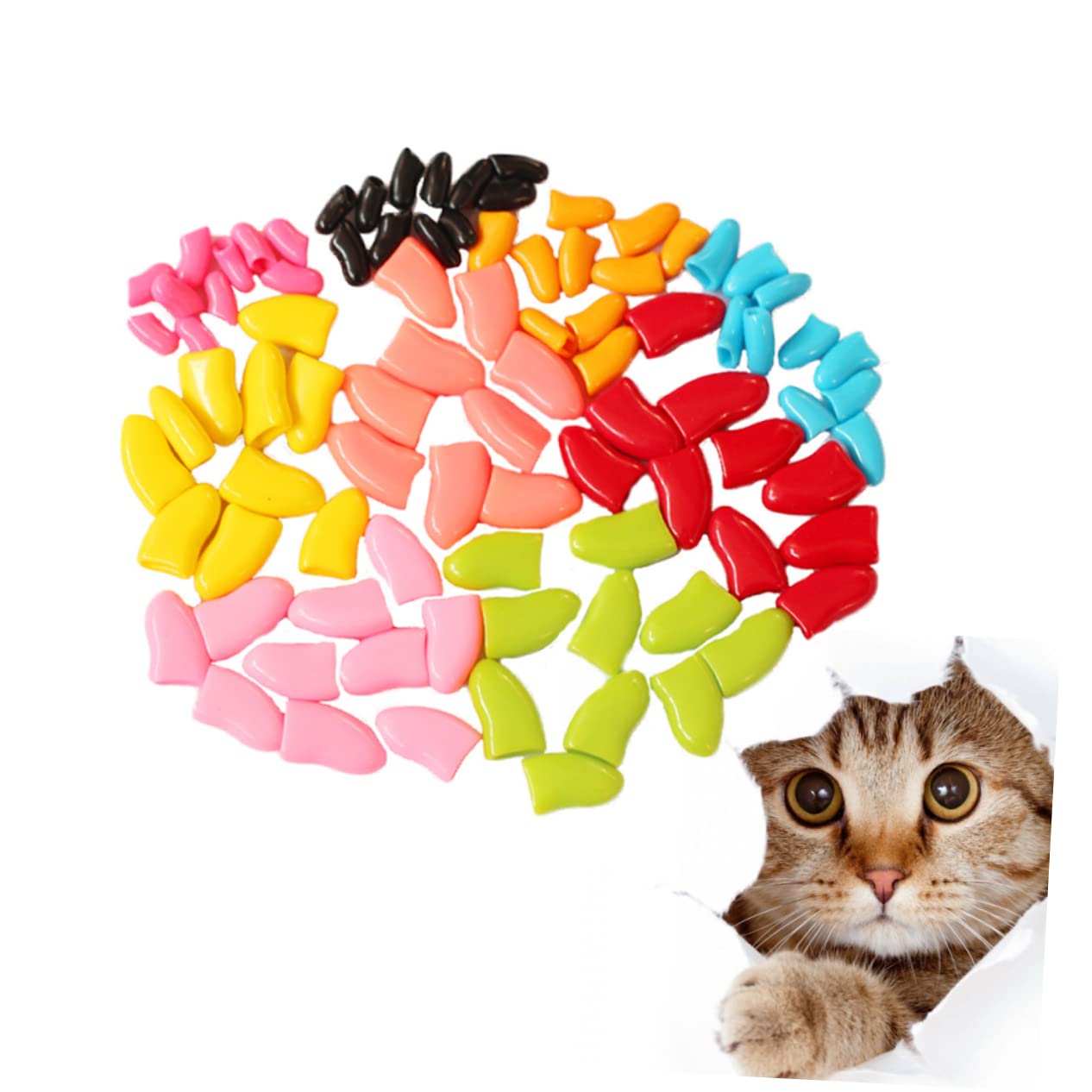 Housoutil 420stücke Teiliges Katzenkrallenabdeckungen Schutz Für Katzenpfoten Kratzfest Und Bequem Zufälligen Farben Für Möbel Und Kratzschutz Einfach Anzuwenden
