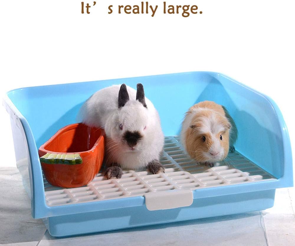 https://m.media-amazon.com/images/I/611UZmrs3uL._AC_SL1000_.jpg